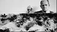 Jackson Pollock - Getty Images