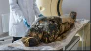 Registro da múmia - A. Leydo/The Warsaw Mummy Project