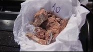 Novos fósseis de dinossauro descobertos em Mato Grosso - Divulgação/TVCA